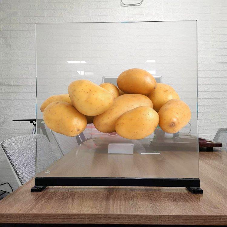 广东全息投影全息膜 3D成像橱窗玻璃膜 全息透明背投膜