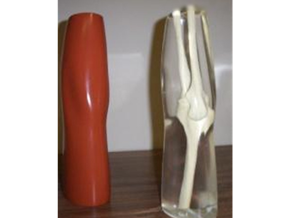 美国RSD模体 手肘肘部模型模体