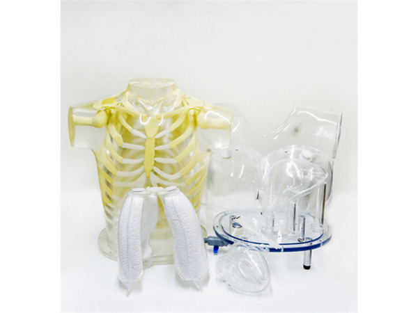 美国RSD模体 心脏和胸部模体