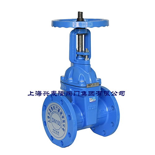 明杆弹性座封闸阀FG41Q