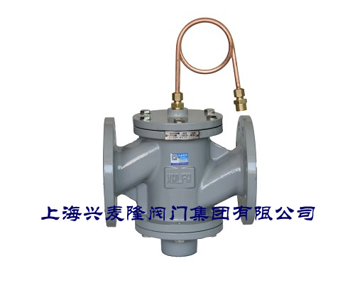 自力式压差控制阀DPZYC   上海兴麦隆